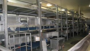 Rice_cookingcooling_line-7180.jpg