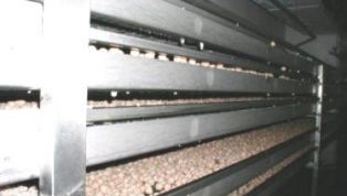 Complete_in_blast_freeze_systeem_for_chickenfishmeat_with_Bitzer_compressors-6391.jpg