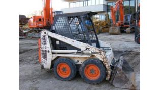 Gommata_bobcat_543-8471.jpg