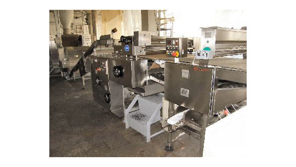 Complete_1000mm_Biscuit_Plant-6953.jpg