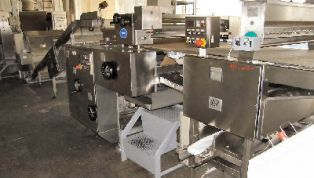 Complete_1000mm_Biscuit_Plant-6953.jpg