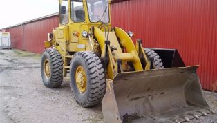 Cat_920-7398.jpg