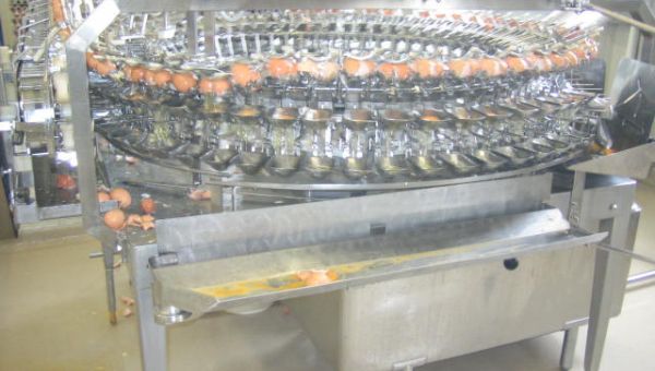 SANOVO_egg_breaking_and_separating_machine-6909.jpg
